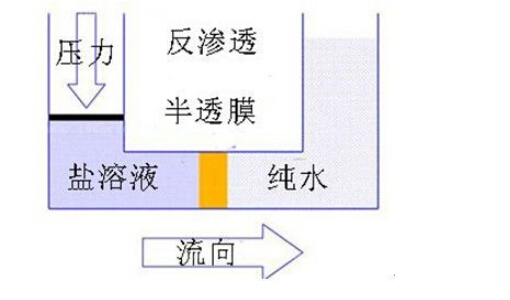 專業(yè)
